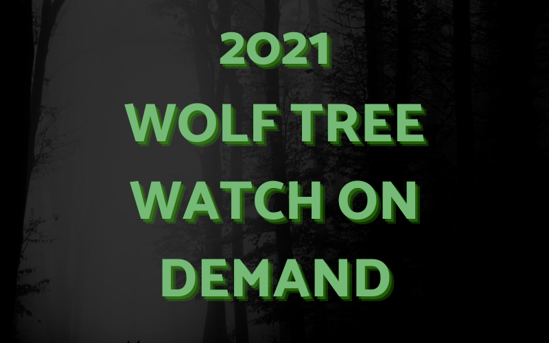 Wolf Tree Watch on Demand