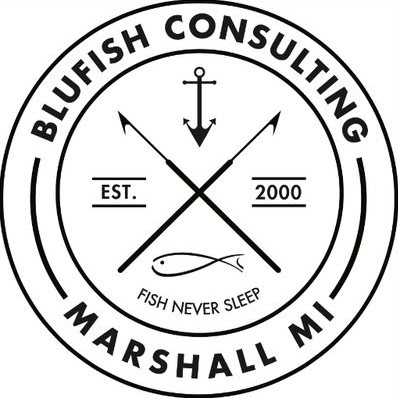 BluFish Consulting